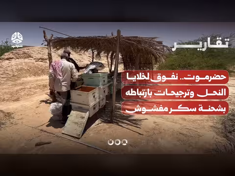 نفوق واسع لخلايا النحل بحضرموت