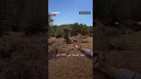 تضييق إسرائيلي على بلدة سنجل الفلسطينية.. وجدار يعيق سبل العيش