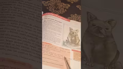 1ère année collège l heure de français page 99 lire un texte descriptif