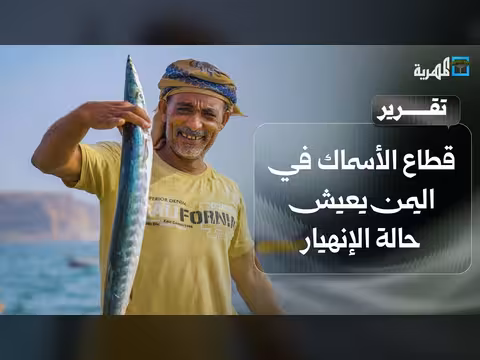 انهيار قطاع الأسماك اليمني وزيادة الاستيراد