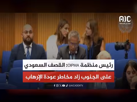 رئيس منظمة OIPMA: القصف السعودي على الجنوب يزيد مخاطر الإرهاب