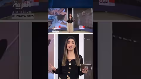 في حادثة غريبة.. القبض على قطة مدربة خلال محاولتها تهريب مخدرات إلى أحد سجون كوستاريكا
