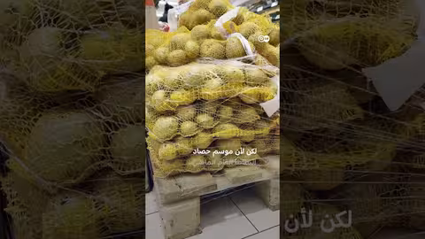 ألمانيا توزع بطاطا مجانا بسبب فائض هائل