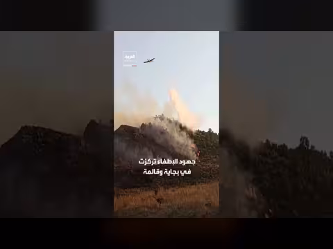 استنفار في الجزائر بعد اندلاع 20 حريقاً