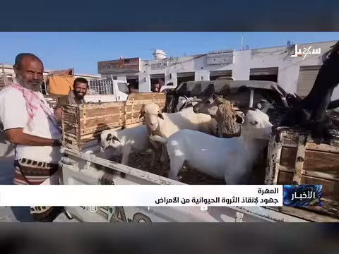 جهود لإنقاذ الثروة الحيوانية في المهرة