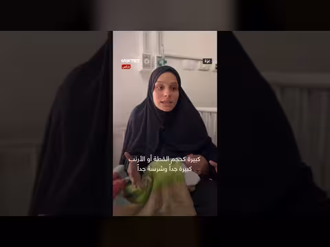 هجوم القوارض على رضيع في الخيمة