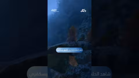 مزيج بين القرش والأفعى