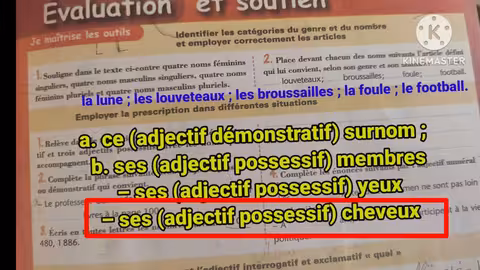 1ère année collège l heure de français page 102,103 évaluation et soutien