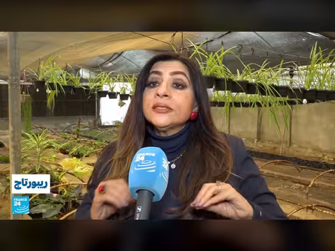 إنعاش صناعة الحرير في مصر: تحديات وفرص للمزارعين