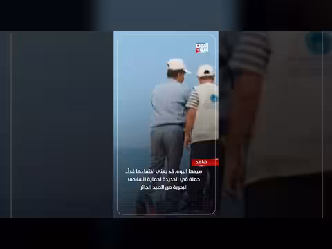حملة لحماية السلاحف البحرية في الحديدة