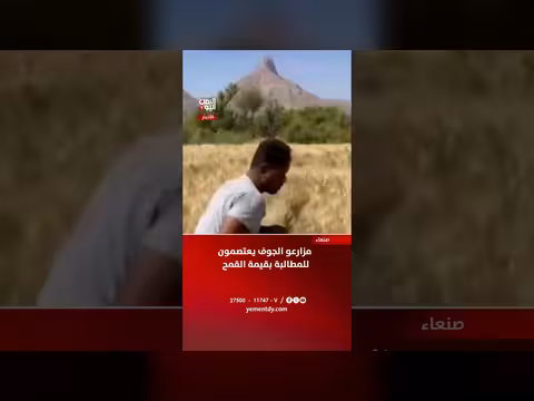 مزارعو الجوف يعتصمون للمطالبة بقيمة القمح