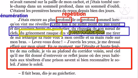 1bac le dernier jour d un condamné lecture: chapitre 2 (la partie 1) جميع les figures de style